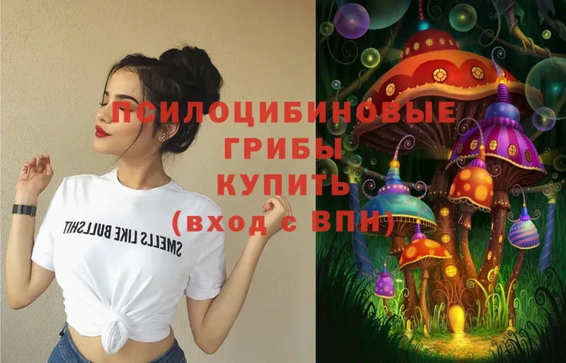 Псилоцибиновые грибы MAGIC MUSHROOMS  где продают   Мурино 